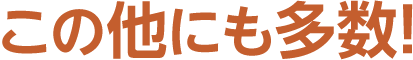 この他にも多数!