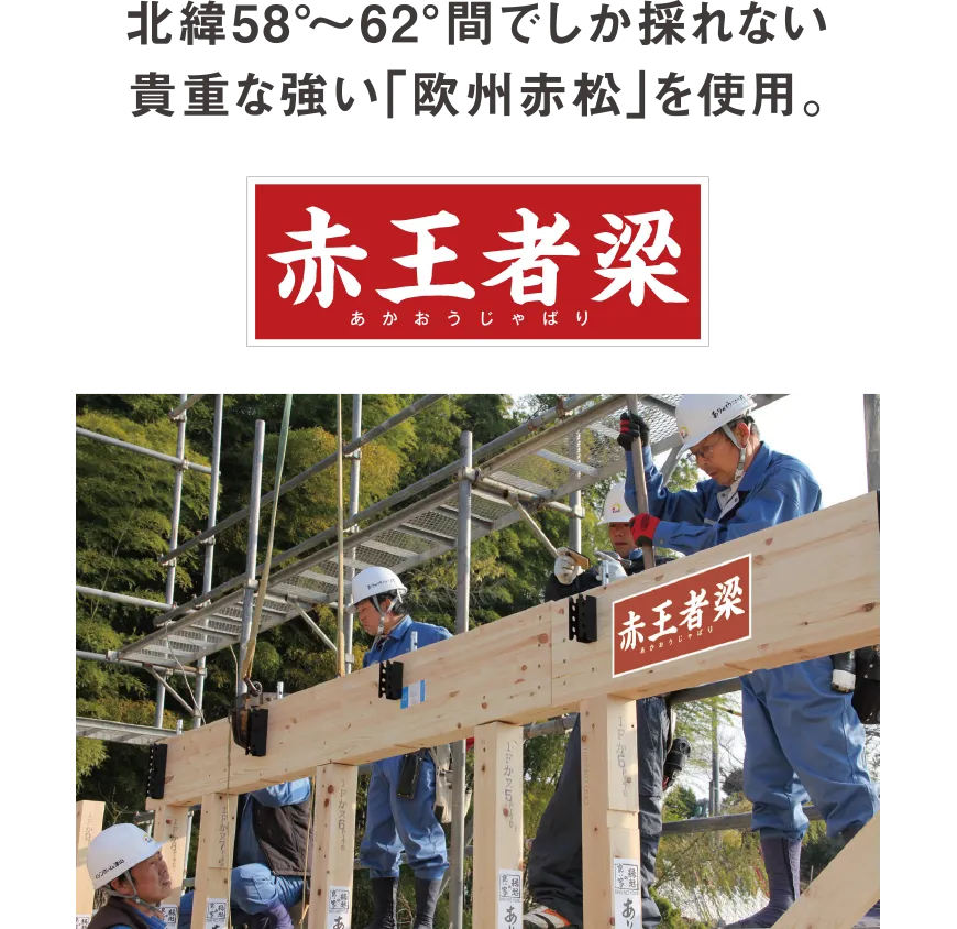 北緯58°~62°間でしか採れない貴重な強い「欧州赤松」を使用。