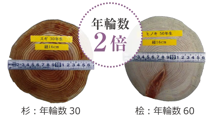 年齢数2倍